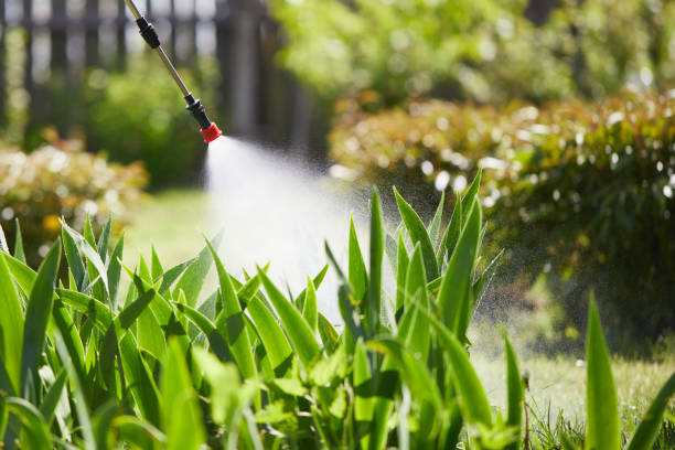 Tamper-Resistant Bait Stations for Rodents in Hildale