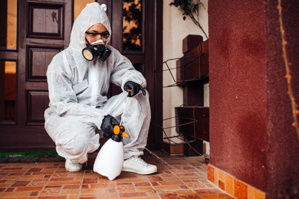 Attic and Crawl Space Rodent Treatment in Hildale